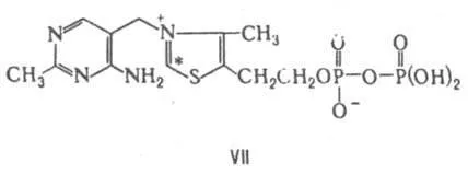 Kofermenty - l