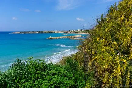 Ciprus - Coral Bay, és a hajók zátonyra