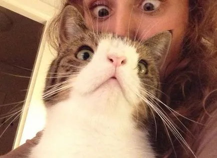 Cat аватар на име Монти с най-необичайни дулото на всичко, което сте видели, umkra