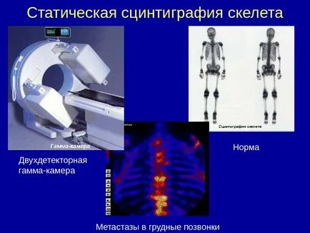 Osteo-artikuláris rendszer kutatási módszerek 1