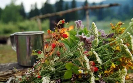 ceaiuri de plante medicinale - proprietăți și rețete, sănătate și frumusețe la domiciliu