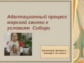 Литературно морска битка - представянето на началното училище