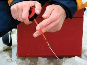 Ragályos sügér ráz télen - kezelése, horgászfelszerelés a bloodworms nélkül