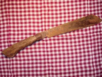 Machete, silvatica vea