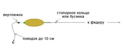 Улов шаран през пролетта и лятото на плувка се справим, фидер, и пролетта