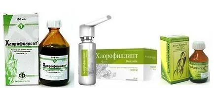 Chlorophillipt масло гърло, особености на приложение