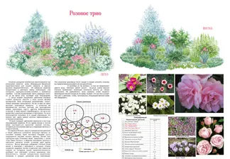 Учебни пособия - ландшафтен дизайн училище, Екатеринбург