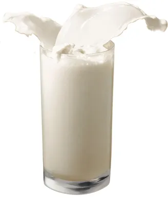 Proprietăți de lapte utile și contraindicații, stil de viață sănătos - este simplu!