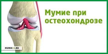 Shilajit în osteocondrozei