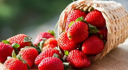 Какво да търсите при избора на ягода, канал 360