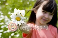 Népi jogorvoslati allergia gyermekeknél allergiás pollen - hagyományos receptek