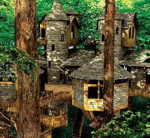 Szokatlan fa házak