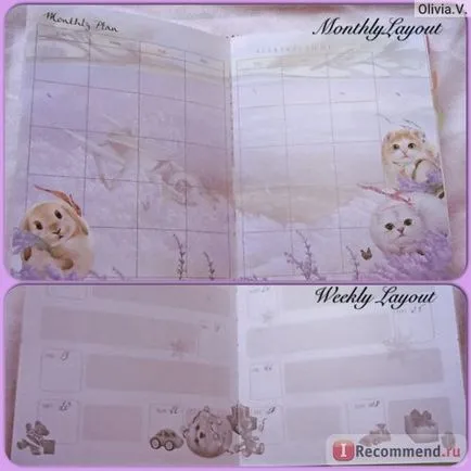 Notebook henry pisici & amp; prieteni - «notebook-uri frumoase cu pisici, și fotografii! „Opinia