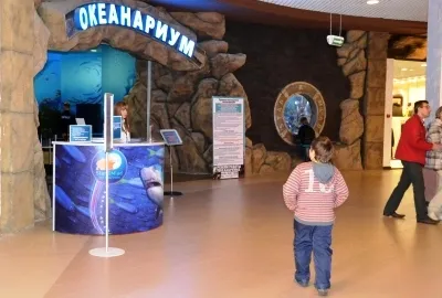 Oceanarium are acum Voronezh - Articol - concediu cu copii