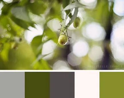 Olive цвят в интериора - сладък, уютна къща на 60 снимки