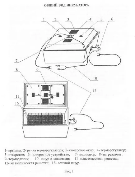 Jellemzők automatikus inkubátor „Hamupipőke” az érvek és ellenérvek