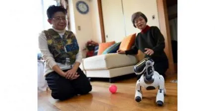 Japán robot kutyák előtt és halál után