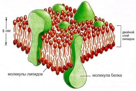 Защо животът не би могъл да възникне от само себе си