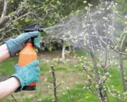 Utilizarea ureei ca spray aplicat în toamna, tratament de primăvară