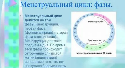 Пъпки преди менструация - защо се появяват по време на овулация и как да се справят