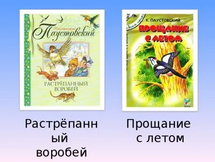 Prezentarea la lectura literară lecție - cotitură pisica hoț polițist pisica (povestea