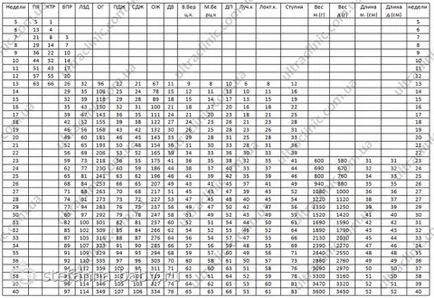 A méretek a magzat fetometry adatok különböző szakaszaiban a terhesség