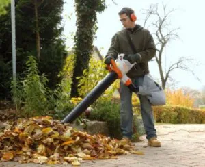 Garden vacuum Suflantă - modul de a alege cea mai bună opțiune