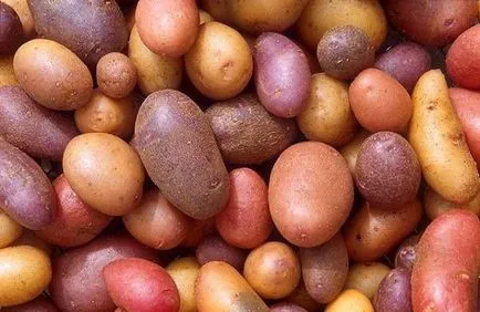 Soiurile cele mai delicioase de cartofi