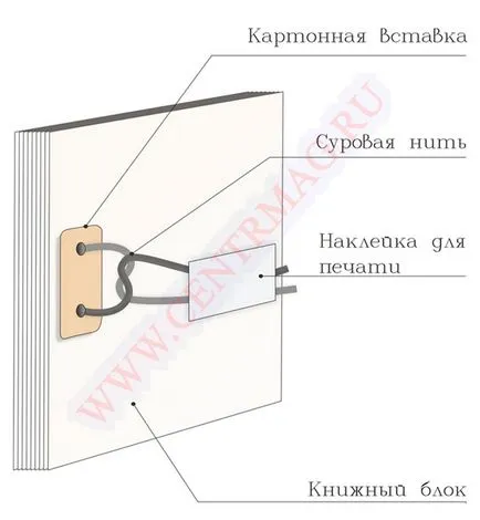 Egészségügyi folyóirat 1