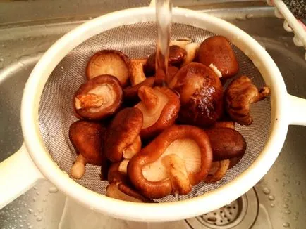 Shiitake - egy recept a finom gombát főzni keleti konyha