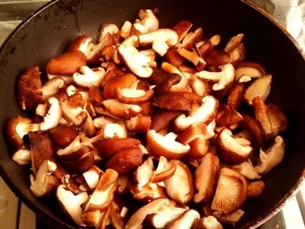 Shiitake - egy recept a finom gombát főzni keleti konyha