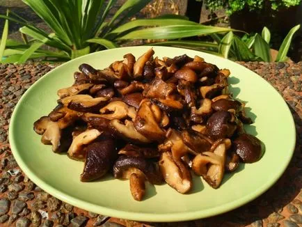 Shiitake - egy recept a finom gombát főzni keleti konyha