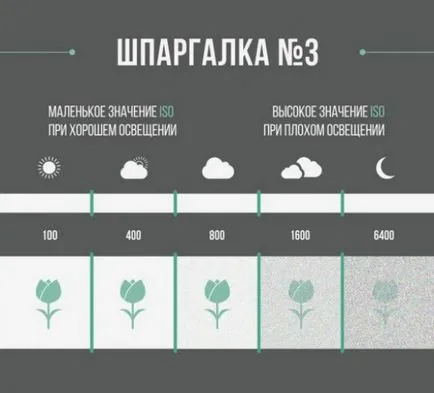 Мамят лист за начинаещите фотографи - Справедливи Masters - ръчна изработка, ръчно изработени