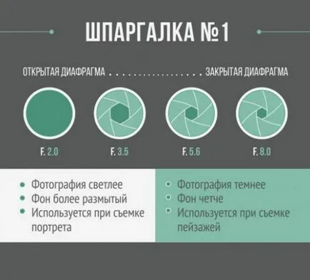 Мамят лист за начинаещите фотографи - Справедливи Masters - ръчна изработка, ръчно изработени