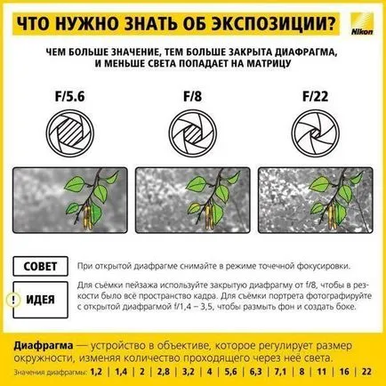 Мамят лист за начинаещите фотографи - Справедливи Masters - ръчна изработка, ръчно изработени