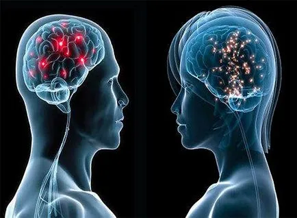 diferente creier de sex masculin și feminin