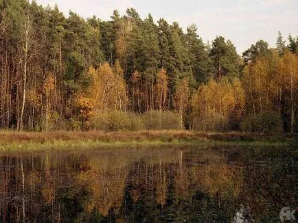 Reserve - Ока-терасовиден - вода - източник на красота и младост