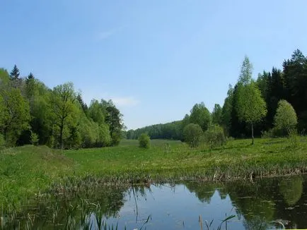 Reserve - Ока-терасовиден - вода - източник на красота и младост