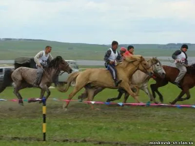 Статии за конете башкирски (прочети