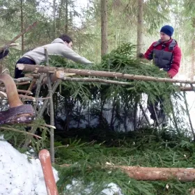 Építése téli menedéket éjszakára az erdőben, télen sátor