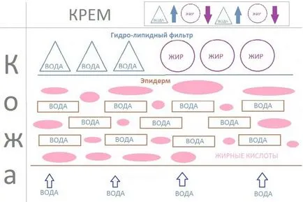 Дали маслото изсушава кожата, Ecotest