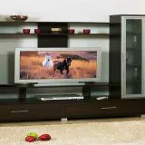 TV în camera de zi interior exemple de design de camere (53 poze)