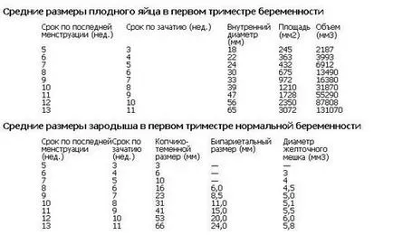 SVD фетален ехография