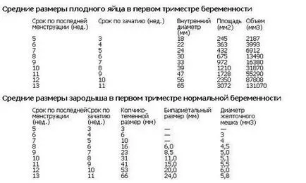 SVD фетален ехография