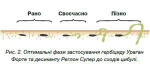 Hagyma termesztéstechnológiai