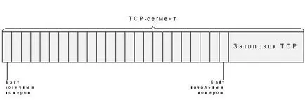 транспорт слой