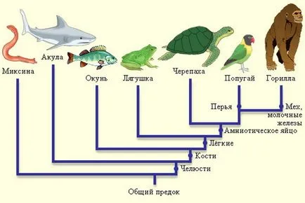 Само тук! Последните есета