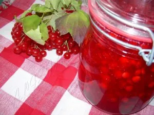 Elakadást viburnum receptek, előnyei és hátrányai Kalinovoye lekvár