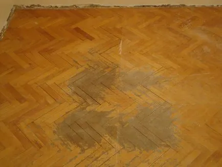 Care padló - parketta mosás, hogyan kell eltávolítani padló kár, értékelje eszközök padló