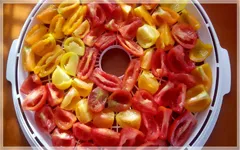 Сушени домати в рецепта фурна с фото